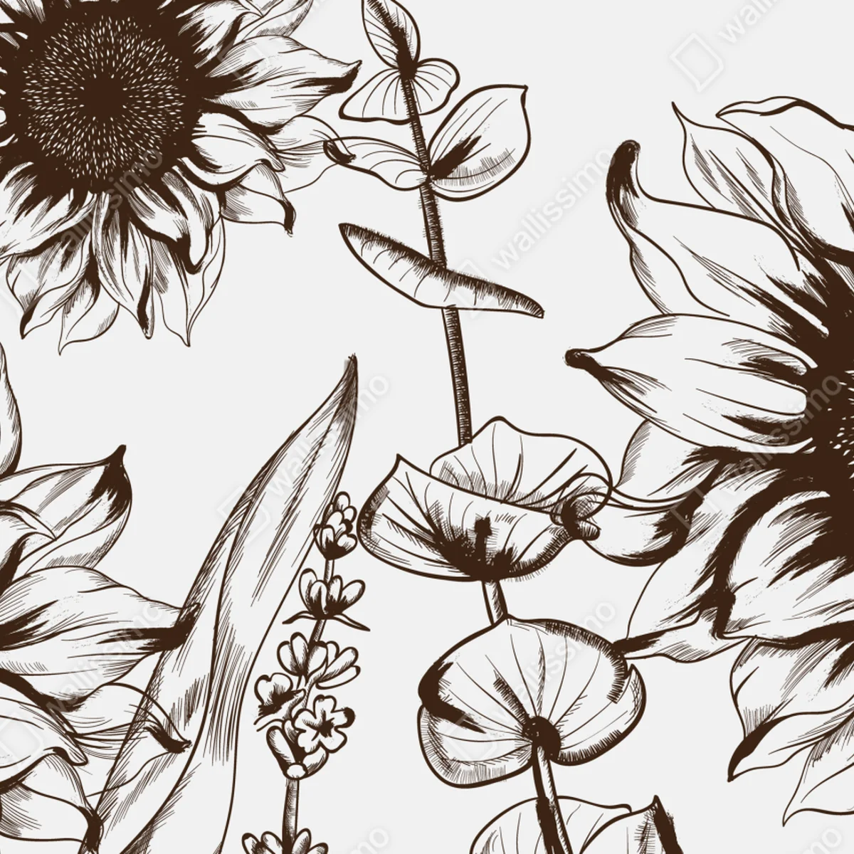 Laptop-Aufkleber botanische sonnenblumenillustration in sepia Laptop-Aufkleber botanische sonnenblumenillustration in sepia