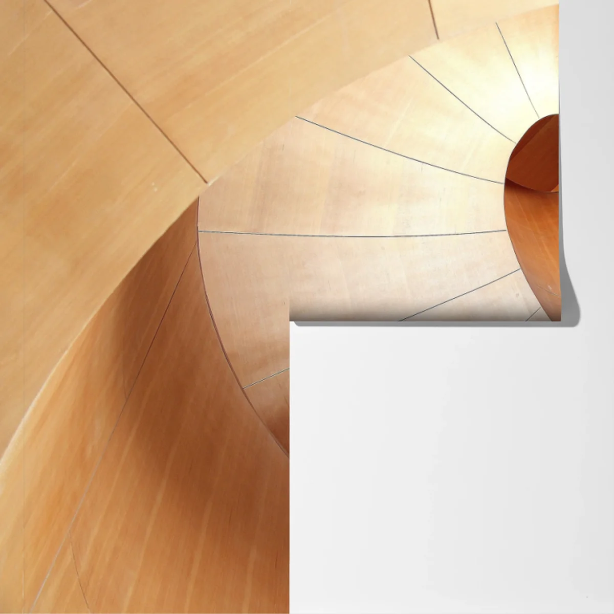 Fototapete warme holzspirale Fototapete warme holzspirale