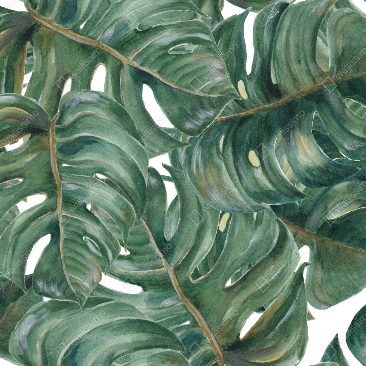 Leinwandbild monstera blätter in aquarell Leinwandbild monstera blätter in aquarell