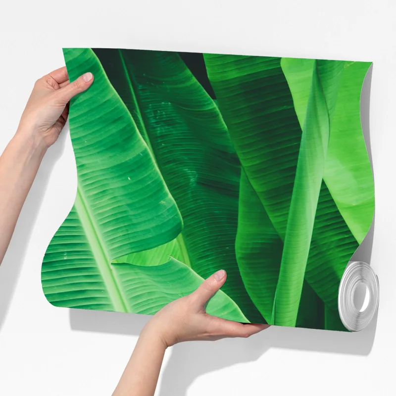 Fototapeta tropikalne liście bananowca Fototapeta tropikalne liście bananowca