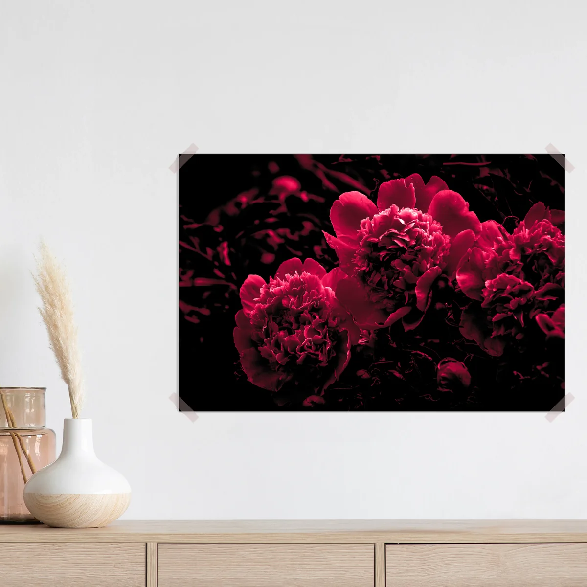 Poster stimmungsvolle rosa pfingstrosen Poster stimmungsvolle rosa pfingstrosen