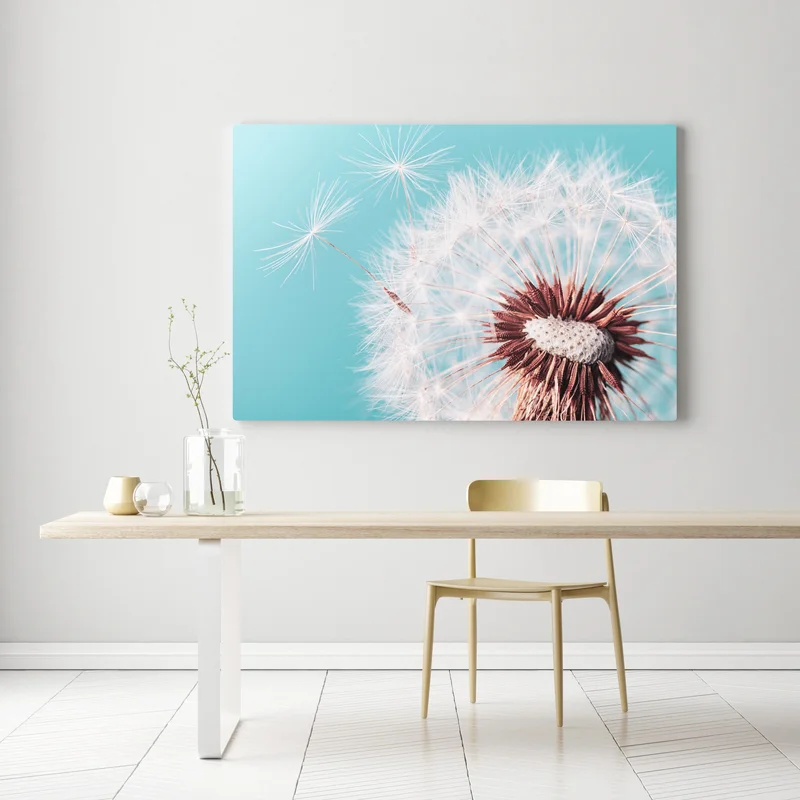 Leinwandbild zarter löwenzahn vor türkisfarbenem hintergrund Leinwandbild zarter löwenzahn vor türkisfarbenem hintergrund