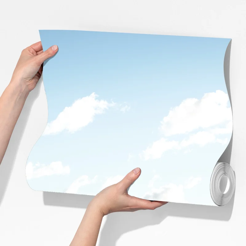 Fototapete ruhige dünen im Slowinski Nationalpark Fototapete ruhige dünen im Slowinski Nationalpark