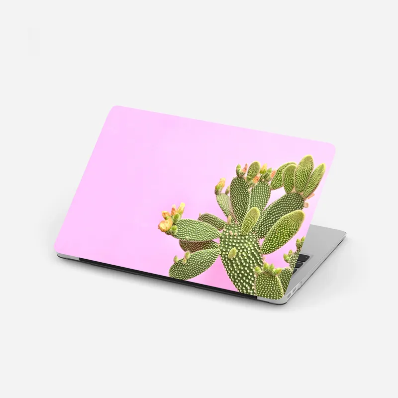Laptop-Aufkleber pastellkaktus vor rosa hintergrund