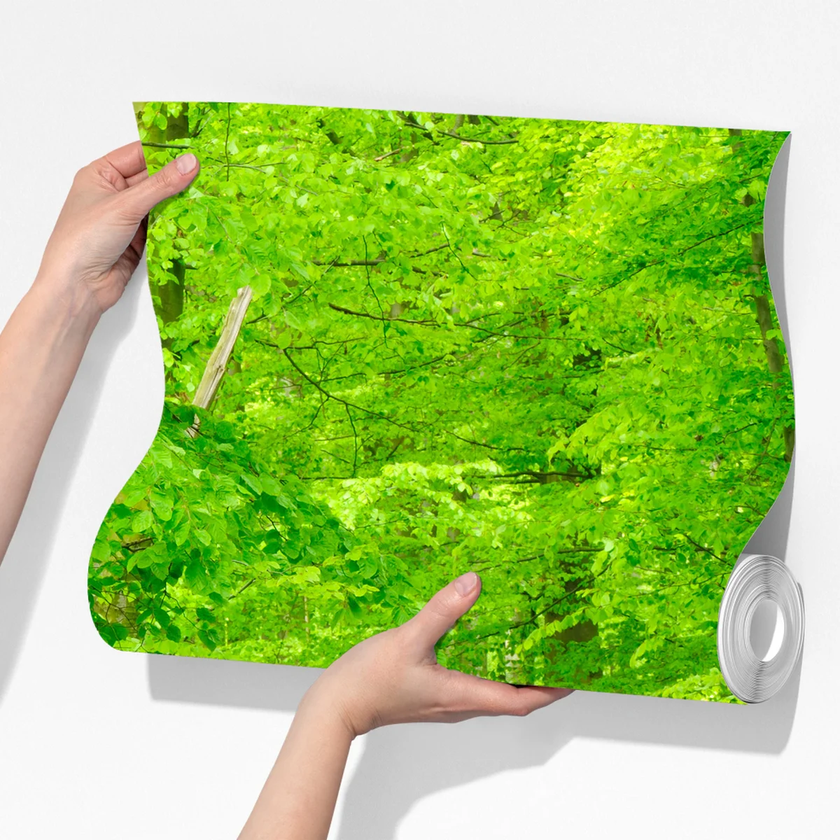 Fototapete ruhiger waldweg im frühling Fototapete ruhiger waldweg im frühling