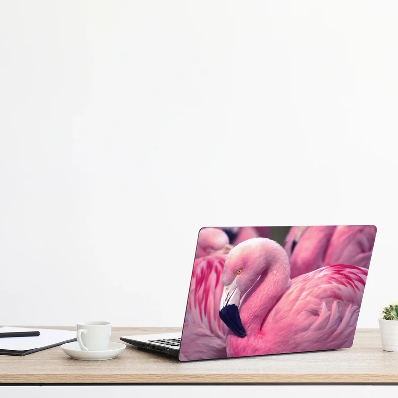 Naklejka na laptopa różowy flaming z bliska