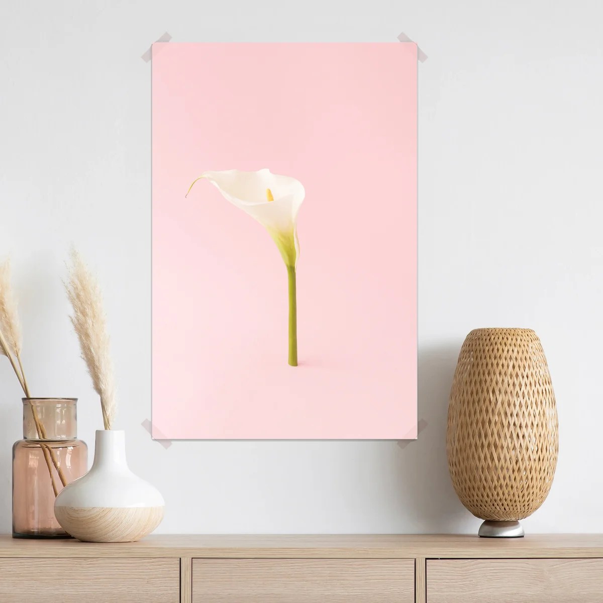 Poster elegante weiße calla auf pastellrosa • Poster bei Wallnifity® Poster elegante weiße calla auf pastellrosa • Poster bei Wallnifity®