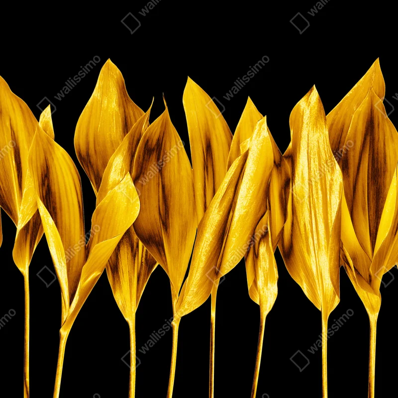 Fototapete goldene blätter auf schwarzem hintergrund Fototapete goldene blätter auf schwarzem hintergrund