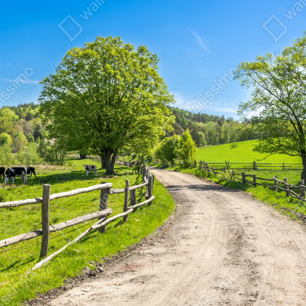 Leinwandbild sonnige landstraße durch grüne wiesen Leinwandbild sonnige landstraße durch grüne wiesen