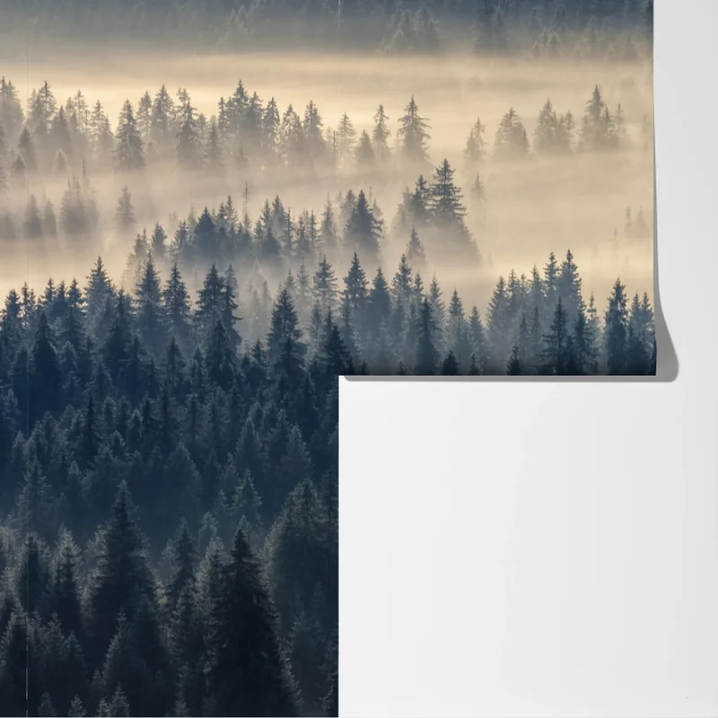 Fototapeta mglista dolina świerków o świcie Fototapeta mglista dolina świerków o świcie