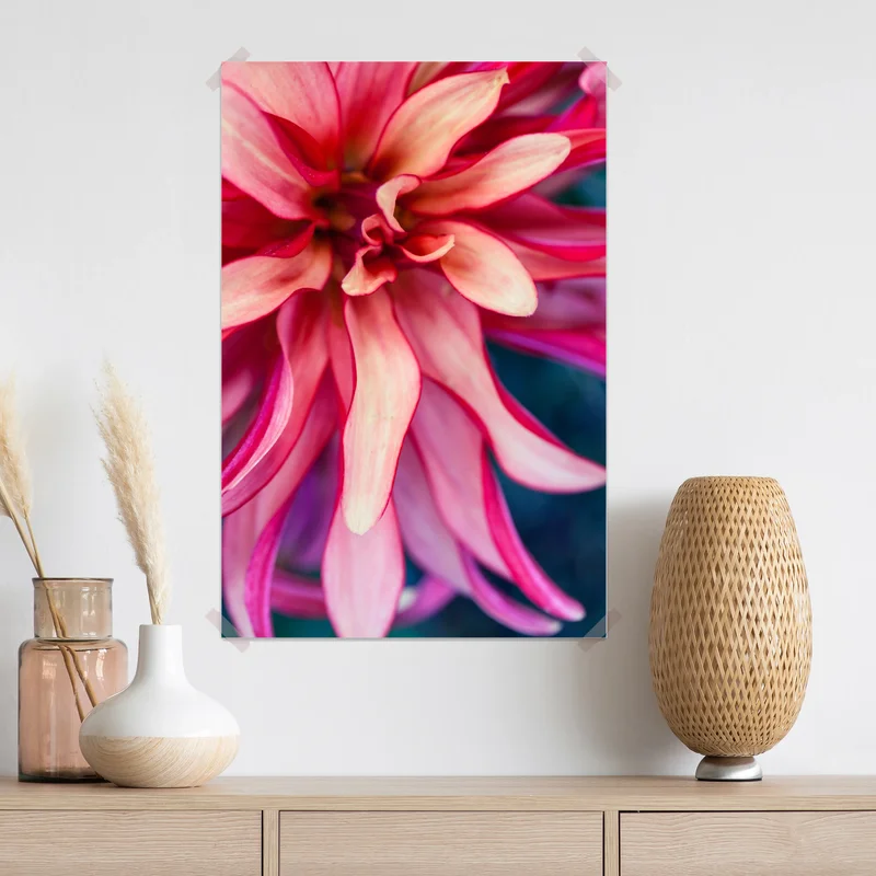 Poster vibrantes rosa blütenmakro Poster vibrantes rosa blütenmakro