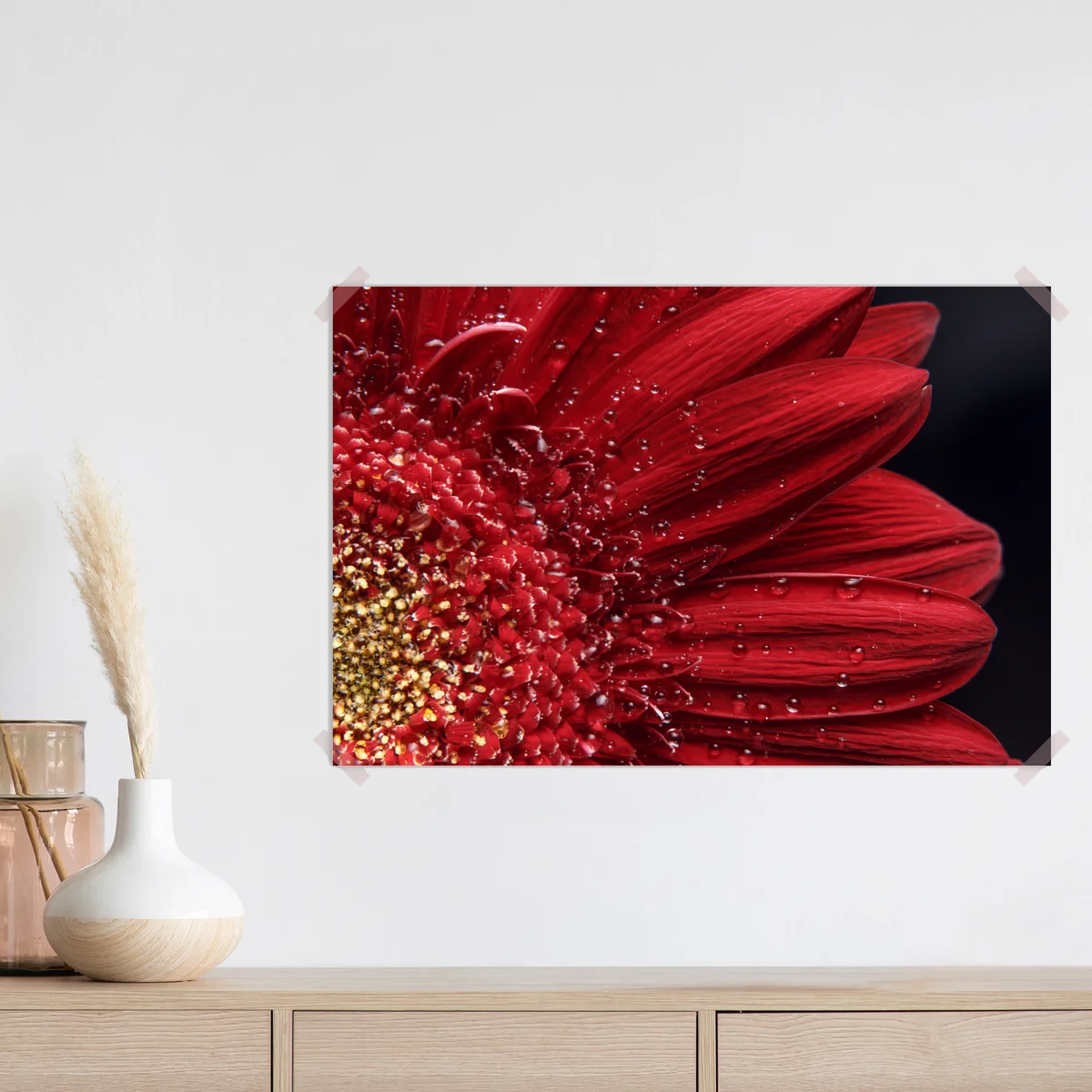 Poster rote gerbera makro mit wassertropfen Poster rote gerbera makro mit wassertropfen