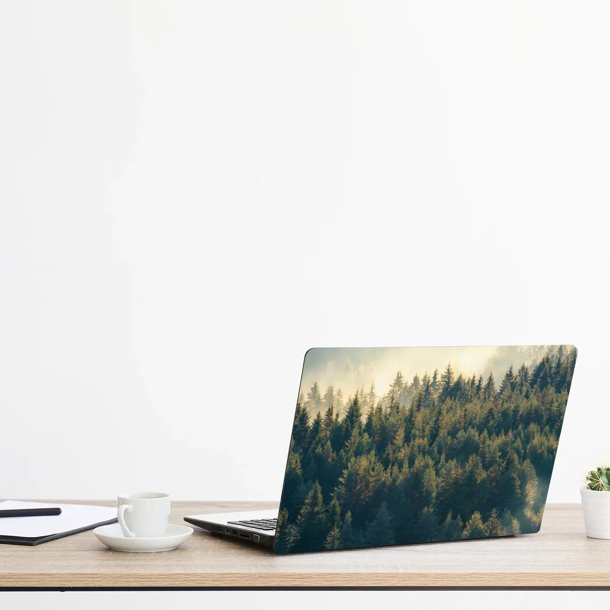 Naklejka na laptopa mglisty las sosnowy o świcie Naklejka na laptopa mglisty las sosnowy o świcie