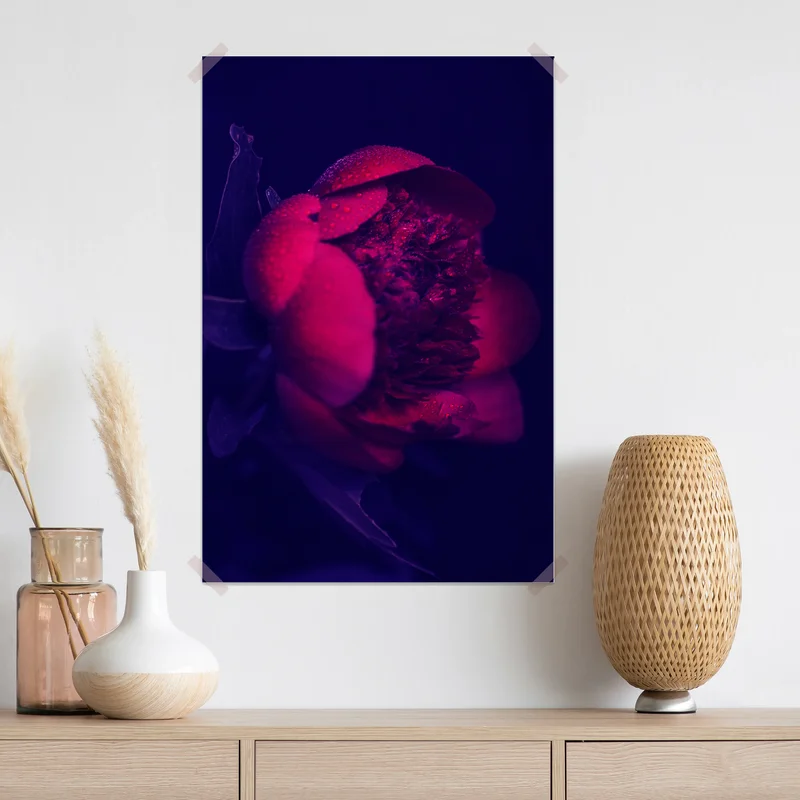 Poster stimmungsvolle rosa pfingstrose nahaufnahme Poster stimmungsvolle rosa pfingstrose nahaufnahme