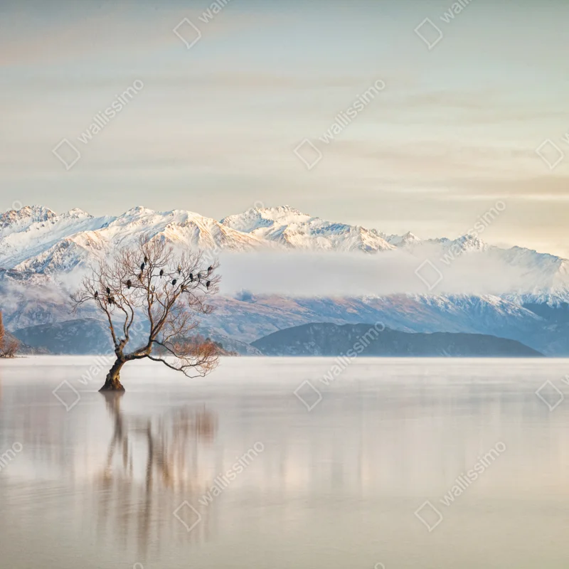 Fensteraufkleber einsamer baum am see Wanaka Fensteraufkleber einsamer baum am see Wanaka