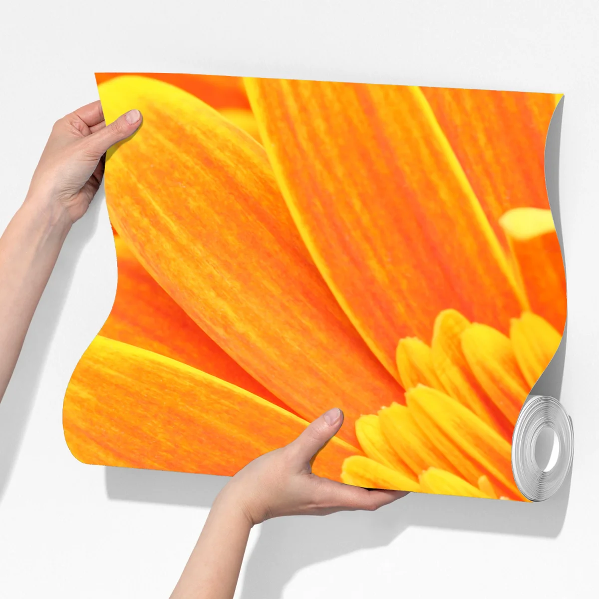 Fototapete leuchtende orange gerbera in makro Fototapete leuchtende orange gerbera in makro