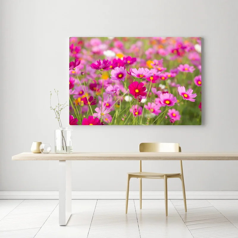 Leinwandbild rosa kosmeenwiese in blüte • Leinwandbilder bei Wallnifity® Leinwandbild rosa kosmeenwiese in blüte • Leinwandbilder bei Wallnifity®