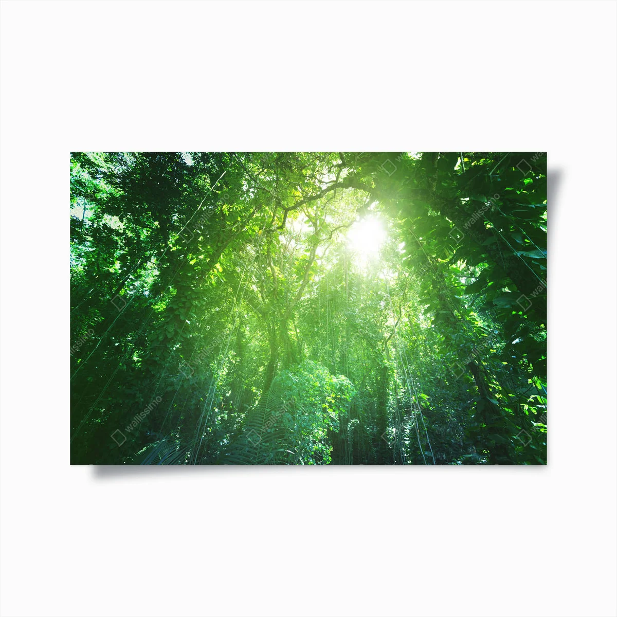 Poster Dschungel der Insel La Digue, Seychellen • Poster bei Wallnifity® Poster Dschungel der Insel La Digue, Seychellen • Poster bei Wallnifity®