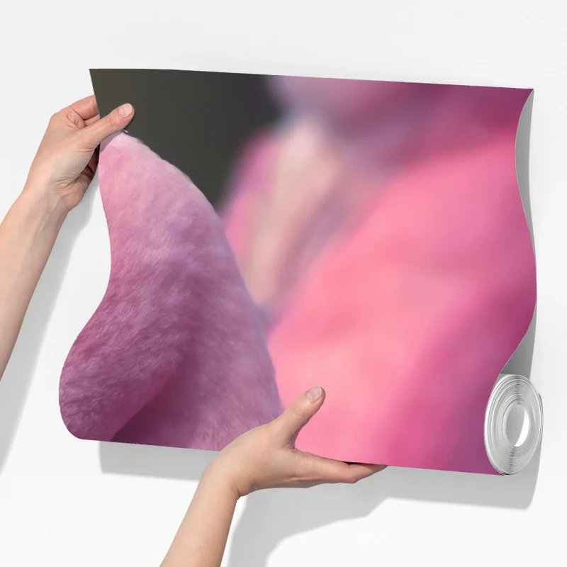 Fototapete rosa flamingo-porträt Fototapete rosa flamingo-porträt