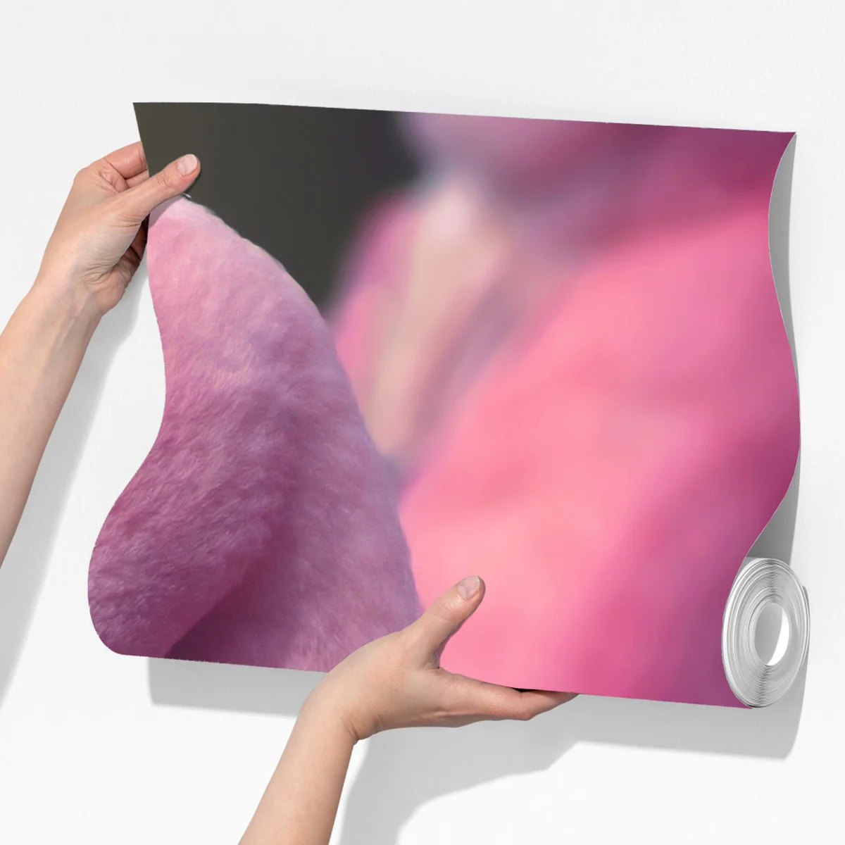 Fototapete rosa flamingo-porträt Fototapete rosa flamingo-porträt