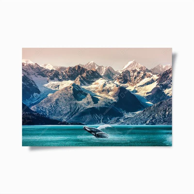 Poster majestätischer wal vor alpinen gletschern • Poster bei Wallnifity® Poster majestätischer wal vor alpinen gletschern • Poster bei Wallnifity®