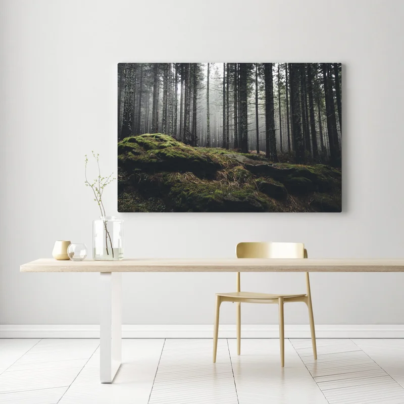 Leinwandbild nebliger moosbedeckter wald Leinwandbild nebliger moosbedeckter wald