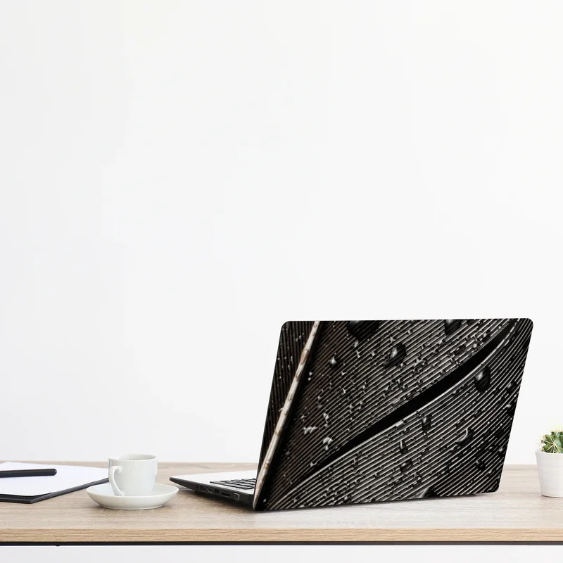 Naklejka na laptopa czarno-białe pióro z kroplami wody