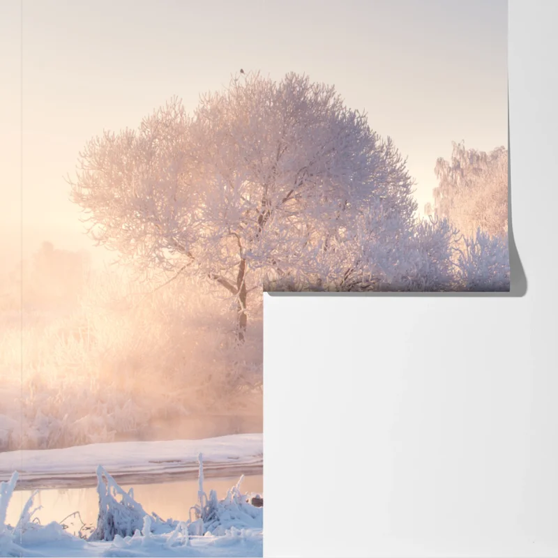 Fototapete raureifbedeckte bäume bei sonnenaufgang Fototapete raureifbedeckte bäume bei sonnenaufgang