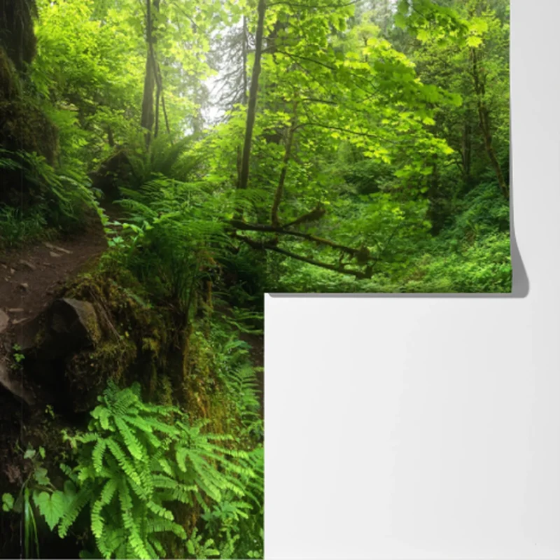 Fototapete üppiger waldwasserfall panorama Fototapete üppiger waldwasserfall panorama