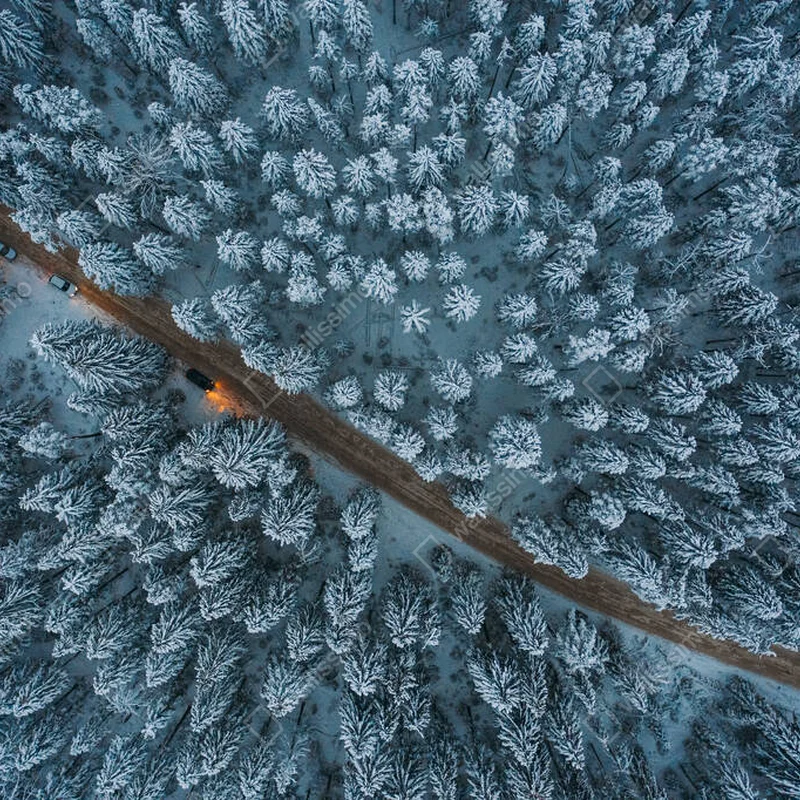 Poster Luftaufnahme des Winterwaldes und der Straße im Gebiet Leningrad. Sibirische Lärche. Abends. Schießen aus der Höhe, Drohne • Poster bei Wallnifity® Poster Luftaufnahme des Winterwaldes und der Straße im Gebiet Leningrad. Sibirische Lärche. Abends. Schießen aus der Höhe, Drohne • Poster bei Wallnifity®