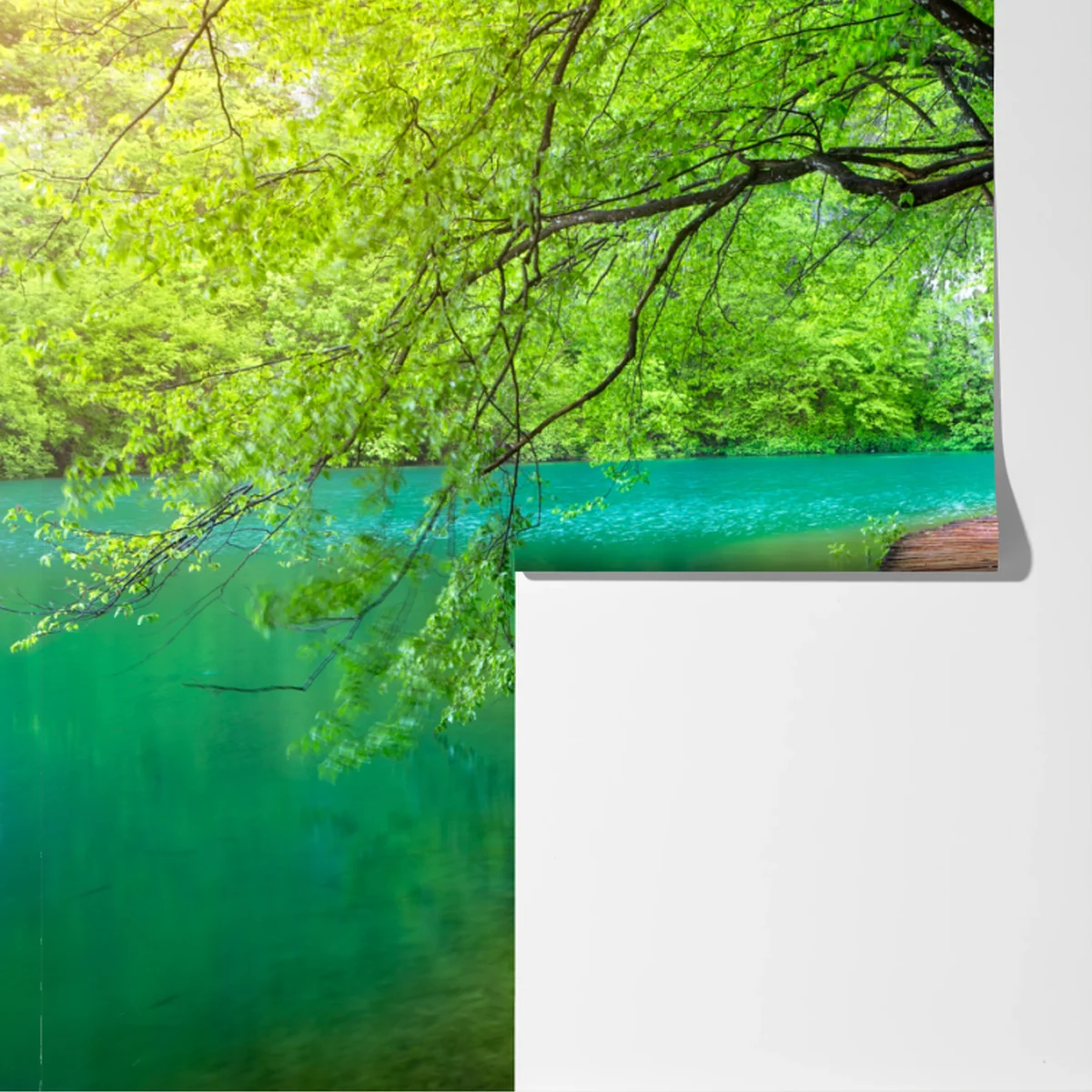 Fototapete ruhiger holzsteg am see im grünen wald Fototapete ruhiger holzsteg am see im grünen wald