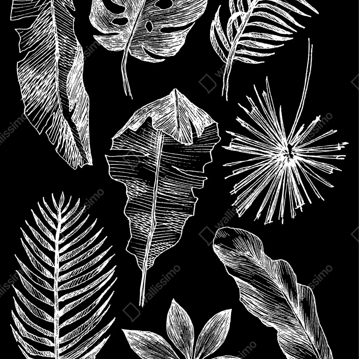 Naklejka na okno monochromatyczna kompozycja liści Naklejka na okno monochromatyczna kompozycja liści