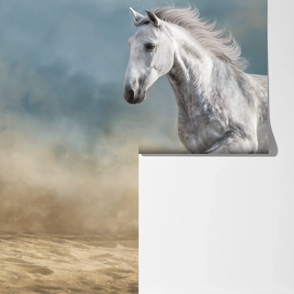 Fototapete majestätisches graues pferd galoppiert durch den sand Fototapete majestätisches graues pferd galoppiert durch den sand