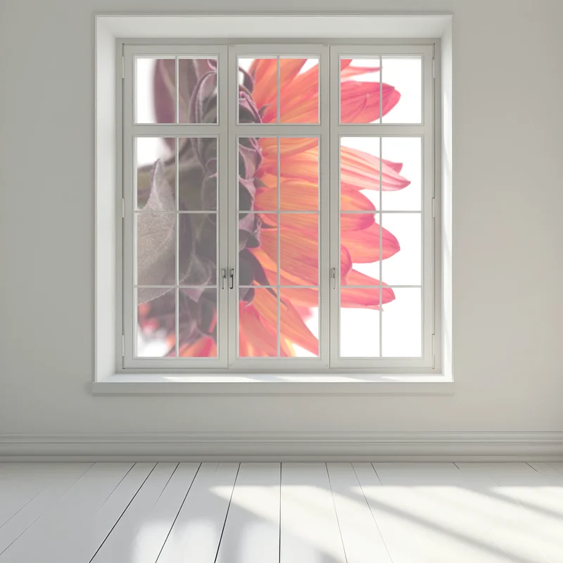 Fensteraufkleber intensive orange sonnenblume nahaufnahme Fensteraufkleber intensive orange sonnenblume nahaufnahme