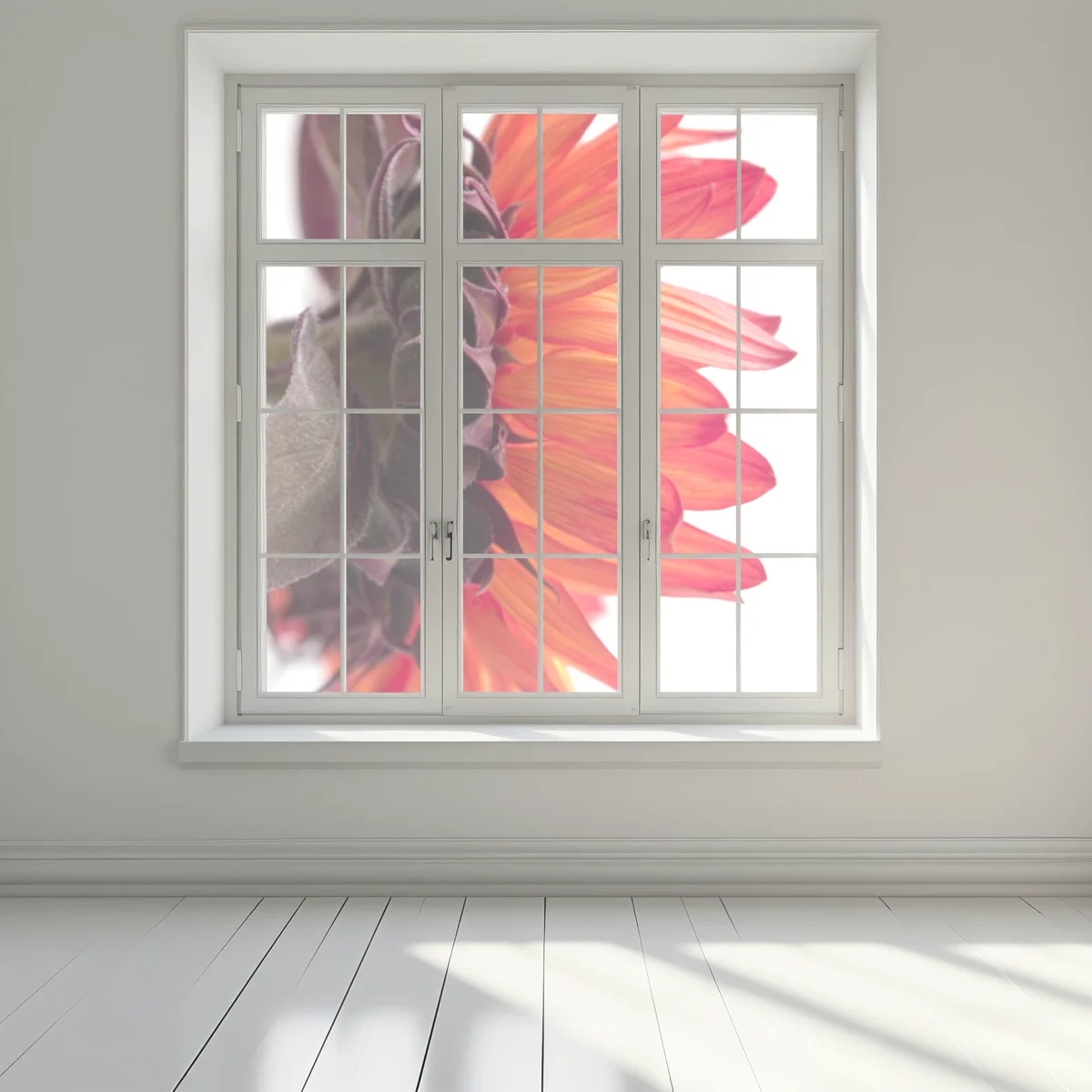 Fensteraufkleber intensive orange sonnenblume nahaufnahme Fensteraufkleber intensive orange sonnenblume nahaufnahme