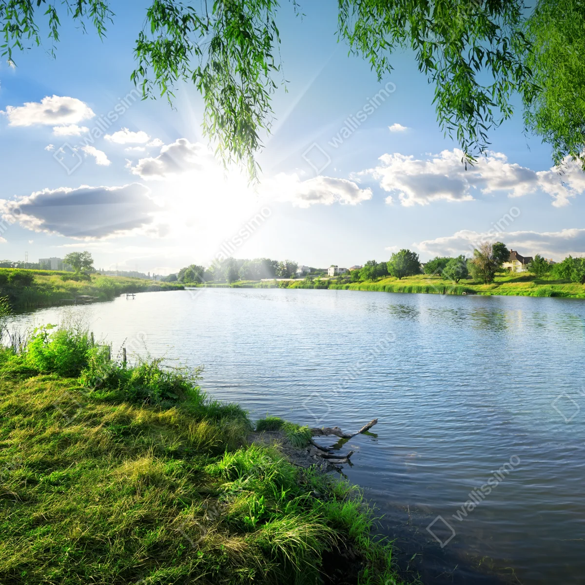 Fototapete sonnenbeschienenes flussufer mit üppigem grün Fototapete sonnenbeschienenes flussufer mit üppigem grün