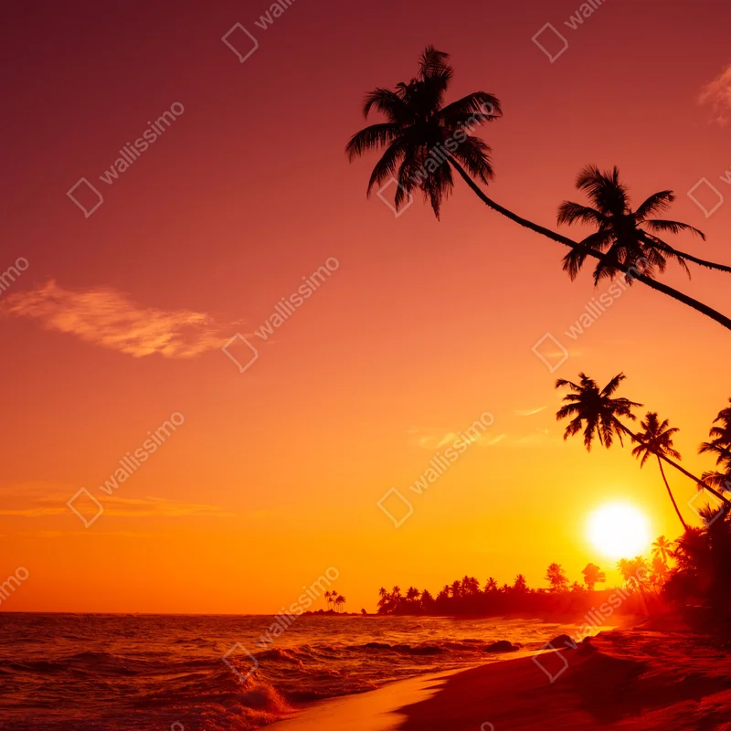 Repositionierbarer Aufkleber tropischer sonnenuntergang am strand Repositionierbarer Aufkleber tropischer sonnenuntergang am strand