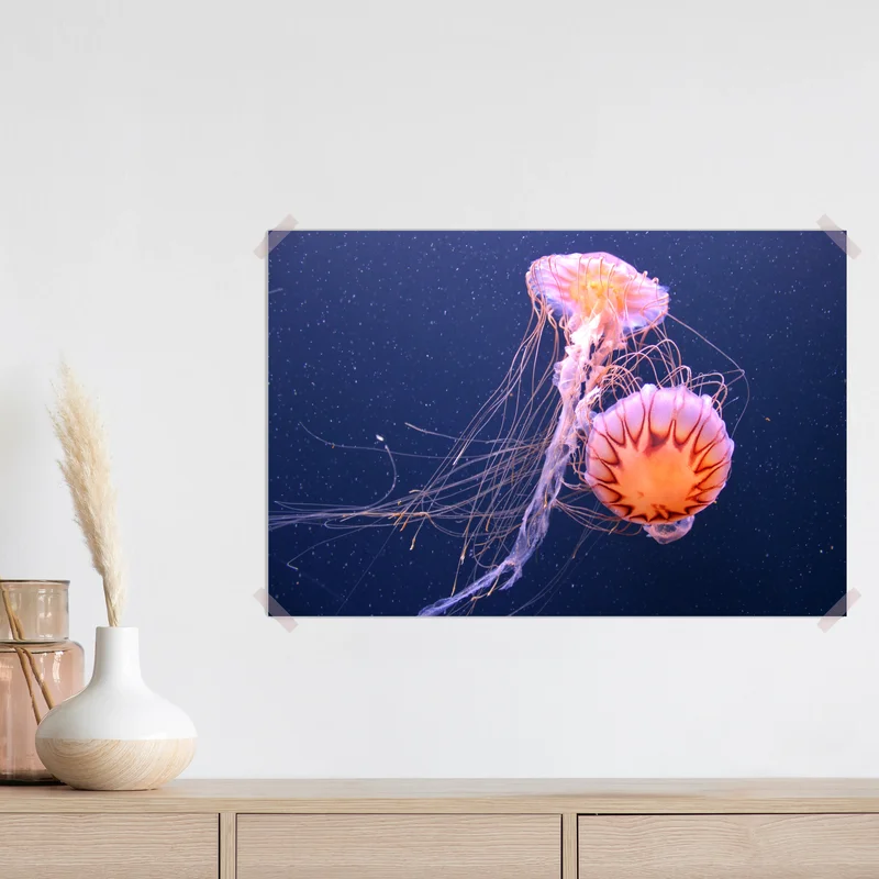 Poster leuchtende quallen in der tiefsee • Poster bei Wallnifity® Poster leuchtende quallen in der tiefsee • Poster bei Wallnifity®