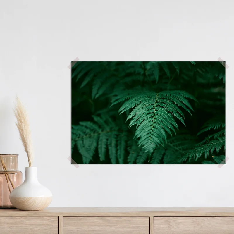 Poster Schöne grüne Farne im Wald. Ein Hauch von Natur. Natürlicher Hintergrund. • Poster bei Wallnifity® Poster Schöne grüne Farne im Wald. Ein Hauch von Natur. Natürlicher Hintergrund. • Poster bei Wallnifity®