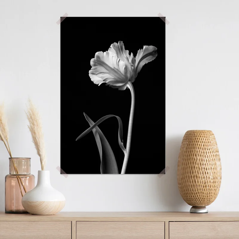 Poster elegante monochrome tulpe Poster elegante monochrome tulpe