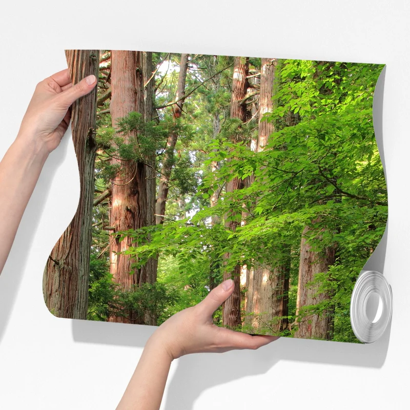 Fototapete steinne treppe im alten wald Fototapete steinne treppe im alten wald