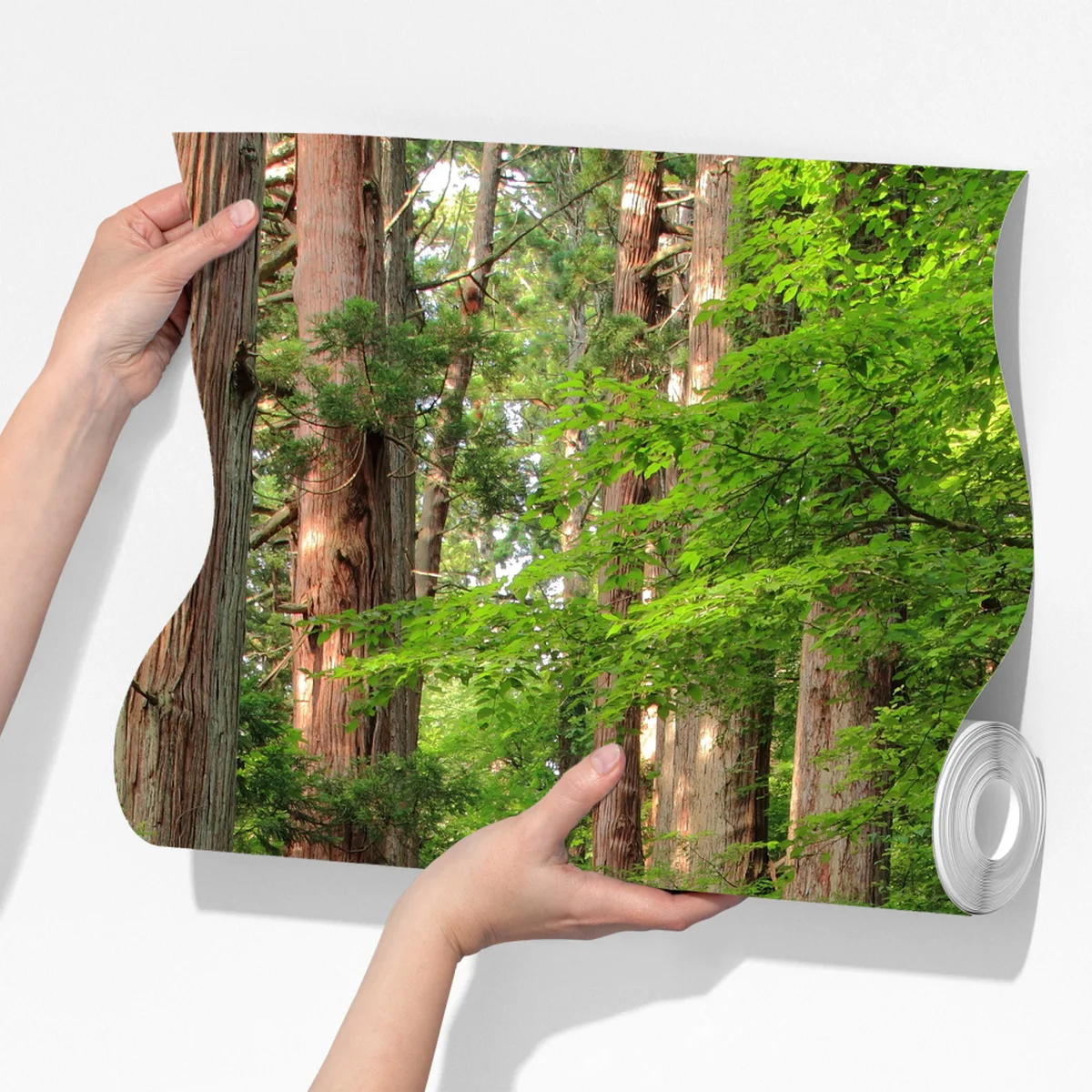 Fototapete steinne treppe im alten wald Fototapete steinne treppe im alten wald