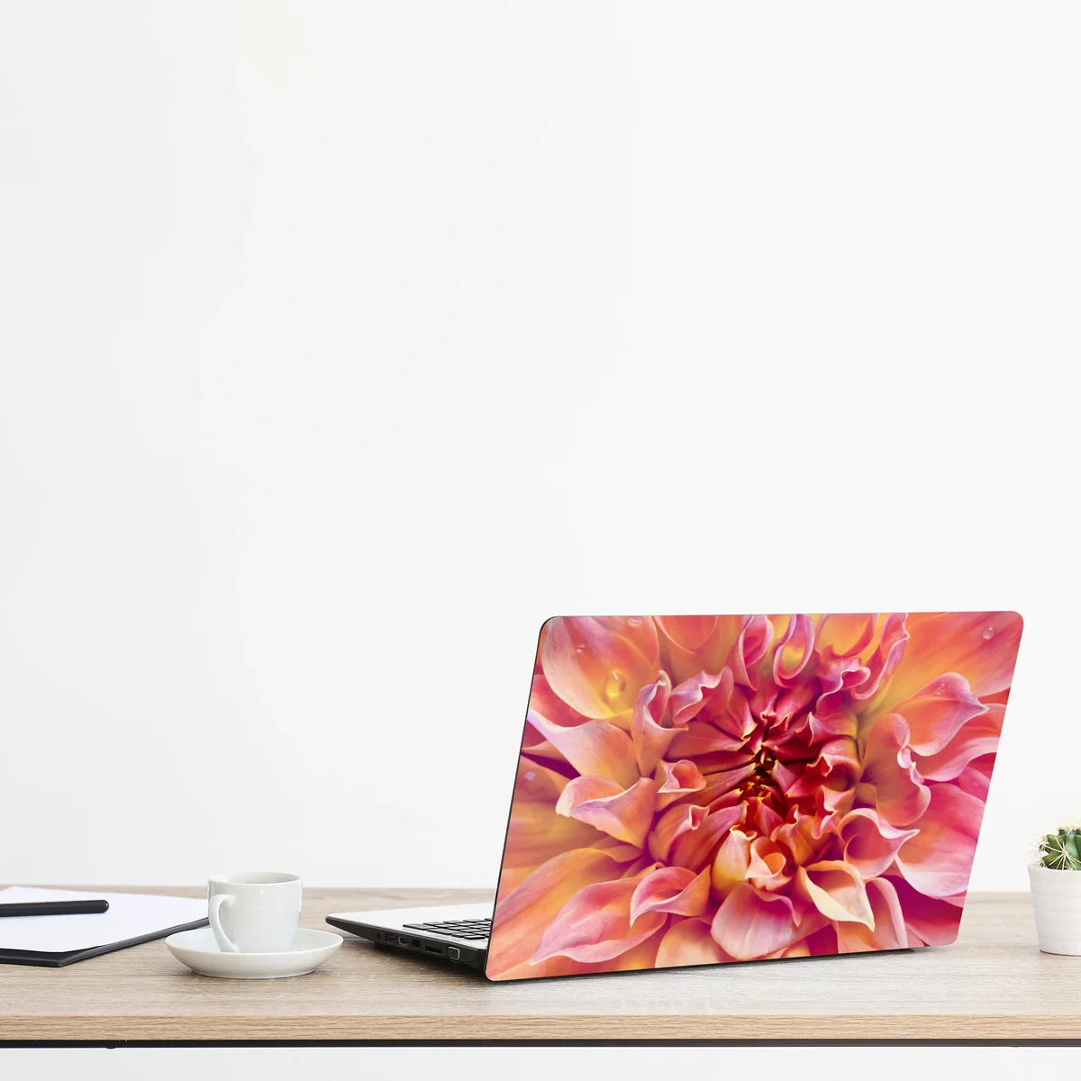 Laptop-Aufkleber rosa dahlie nahaufnahme Laptop-Aufkleber rosa dahlie nahaufnahme