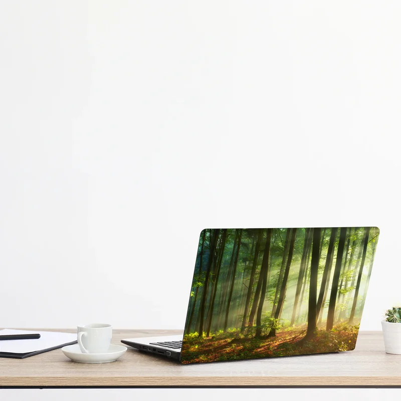 Laptop-Aufkleber sonnenbeschienener morgenwald