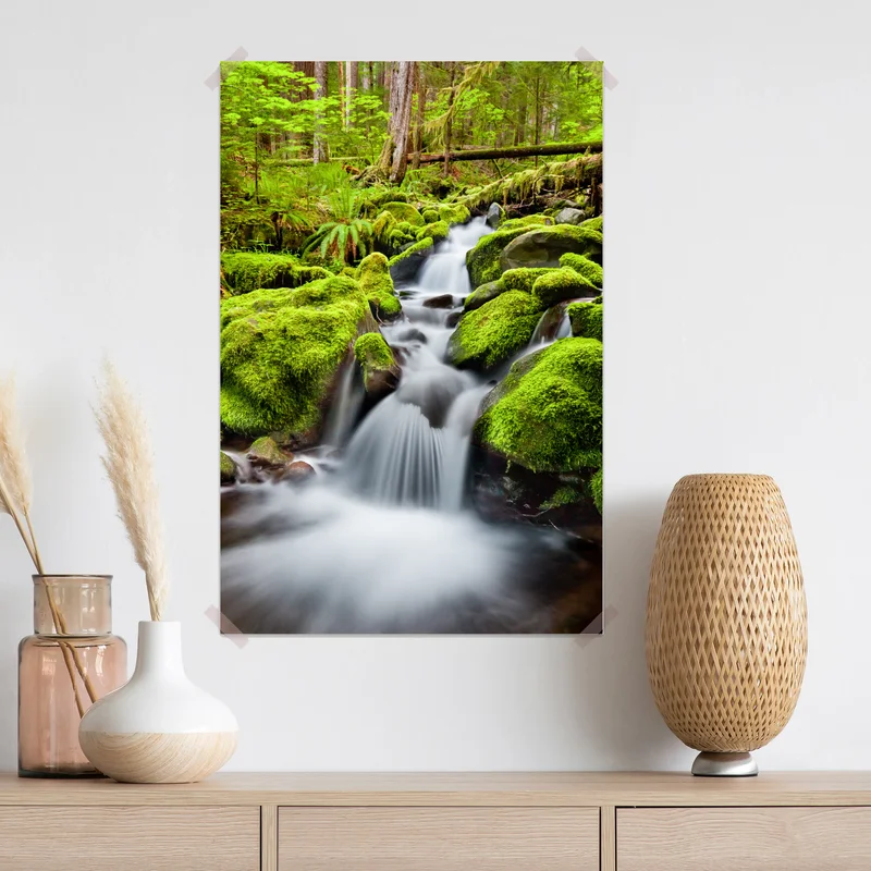 Poster moosbedeckter bach bei Sol Duc Falls Poster moosbedeckter bach bei Sol Duc Falls
