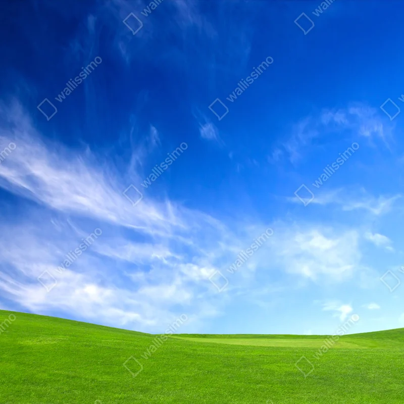 Fensteraufkleber sonnige grüne wiese unter blauem himmel Fensteraufkleber sonnige grüne wiese unter blauem himmel
