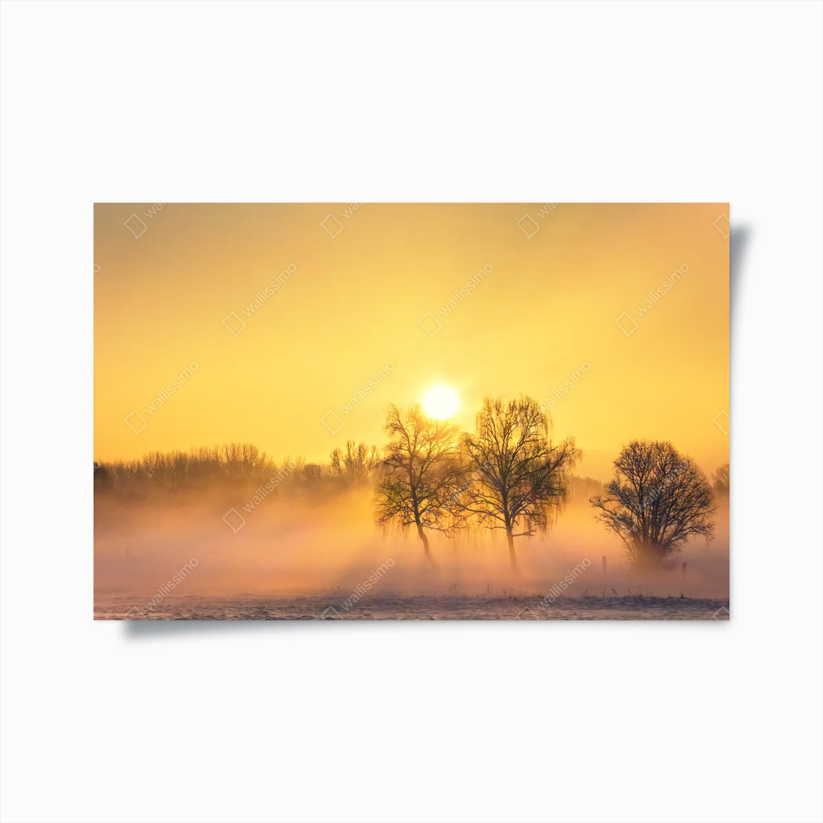 Poster Wintersonne • Poster bei Wallnifity® Poster Wintersonne • Poster bei Wallnifity®