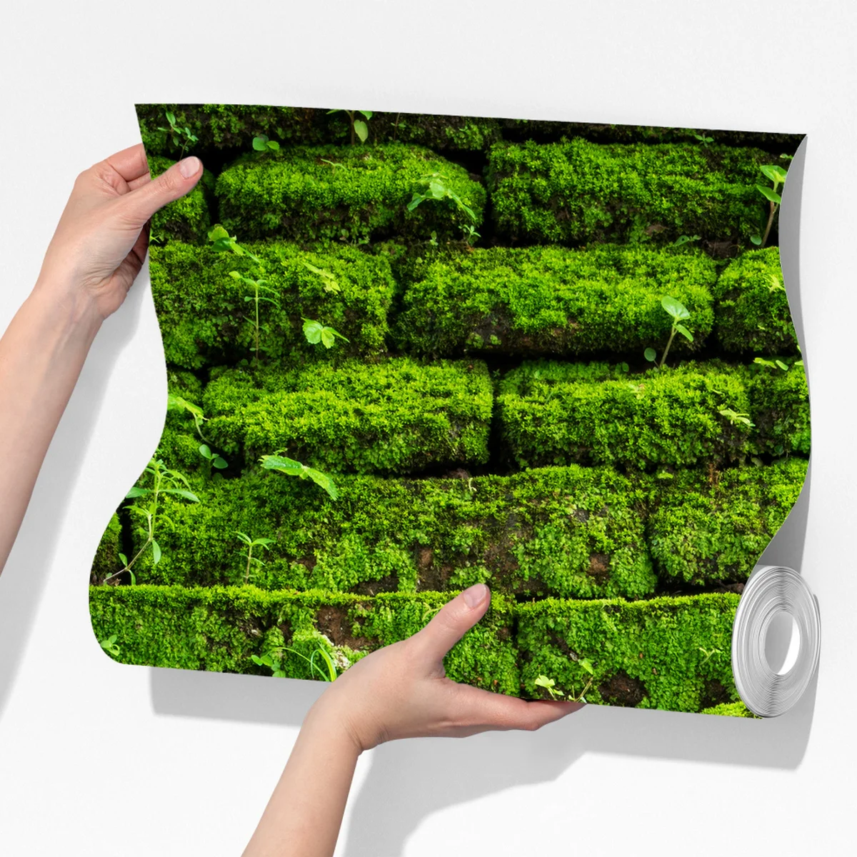 Fototapete üppige moosbedeckte ziegelwand Fototapete üppige moosbedeckte ziegelwand