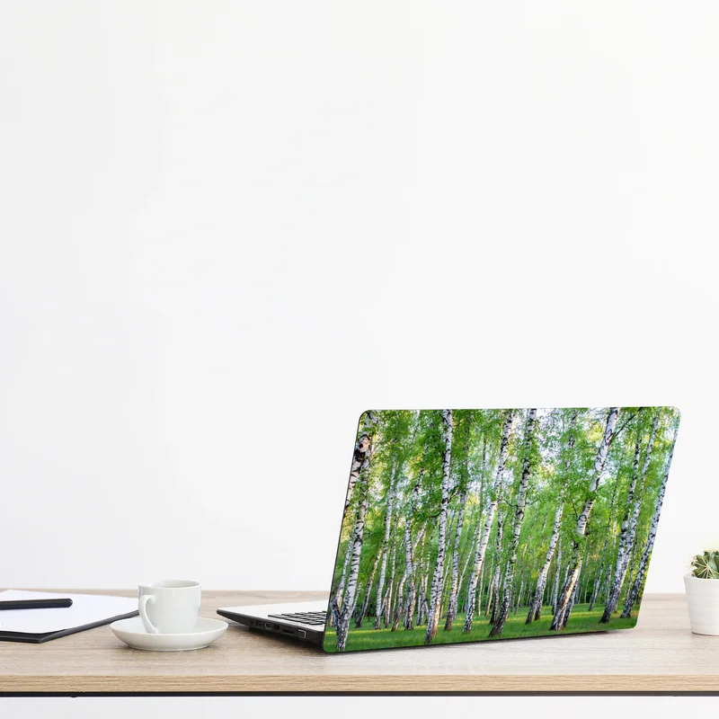 Laptop-Aufkleber ruhiger birkenhain im sommer Laptop-Aufkleber ruhiger birkenhain im sommer