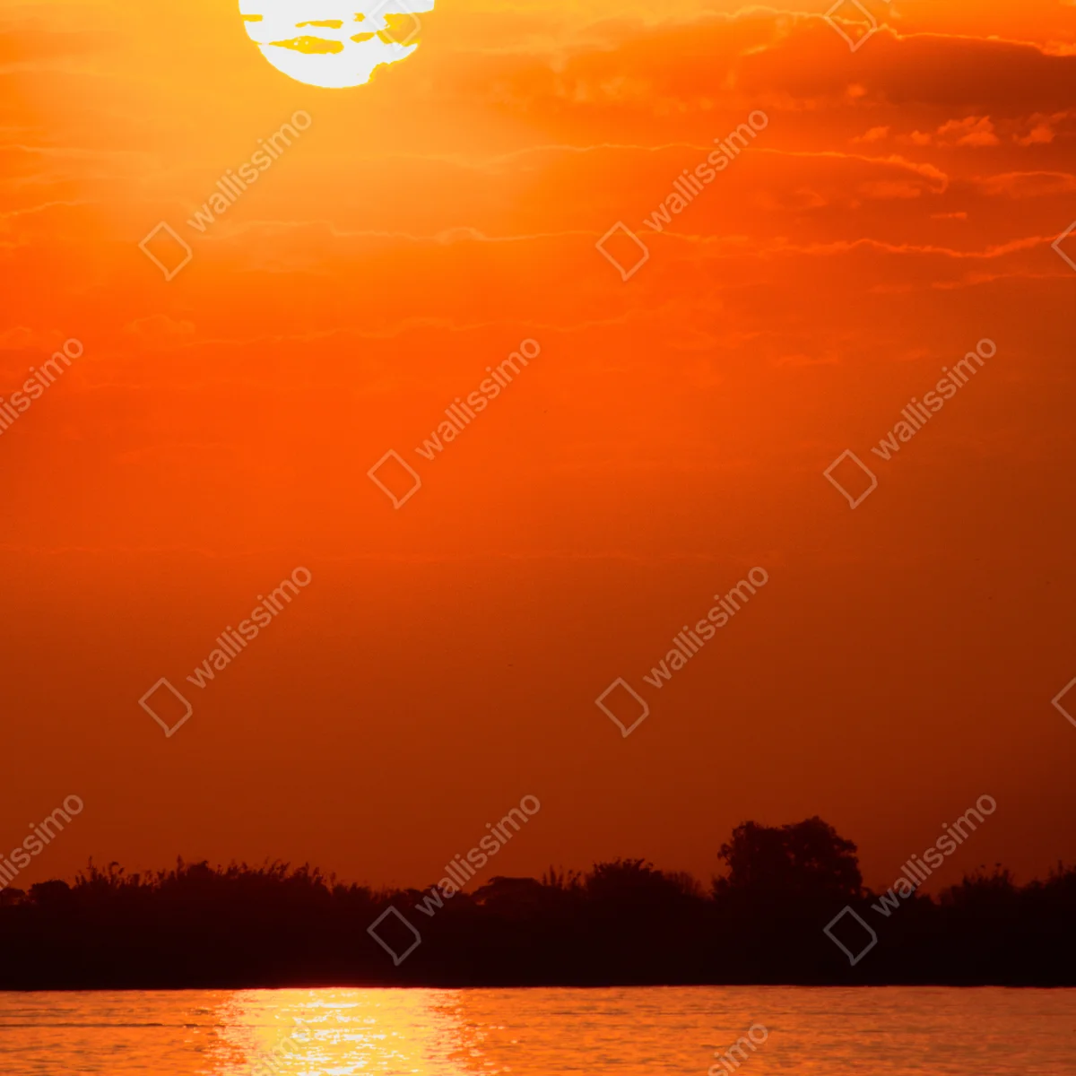 Poster goldener sonnenuntergang über ruhigem see Poster goldener sonnenuntergang über ruhigem see